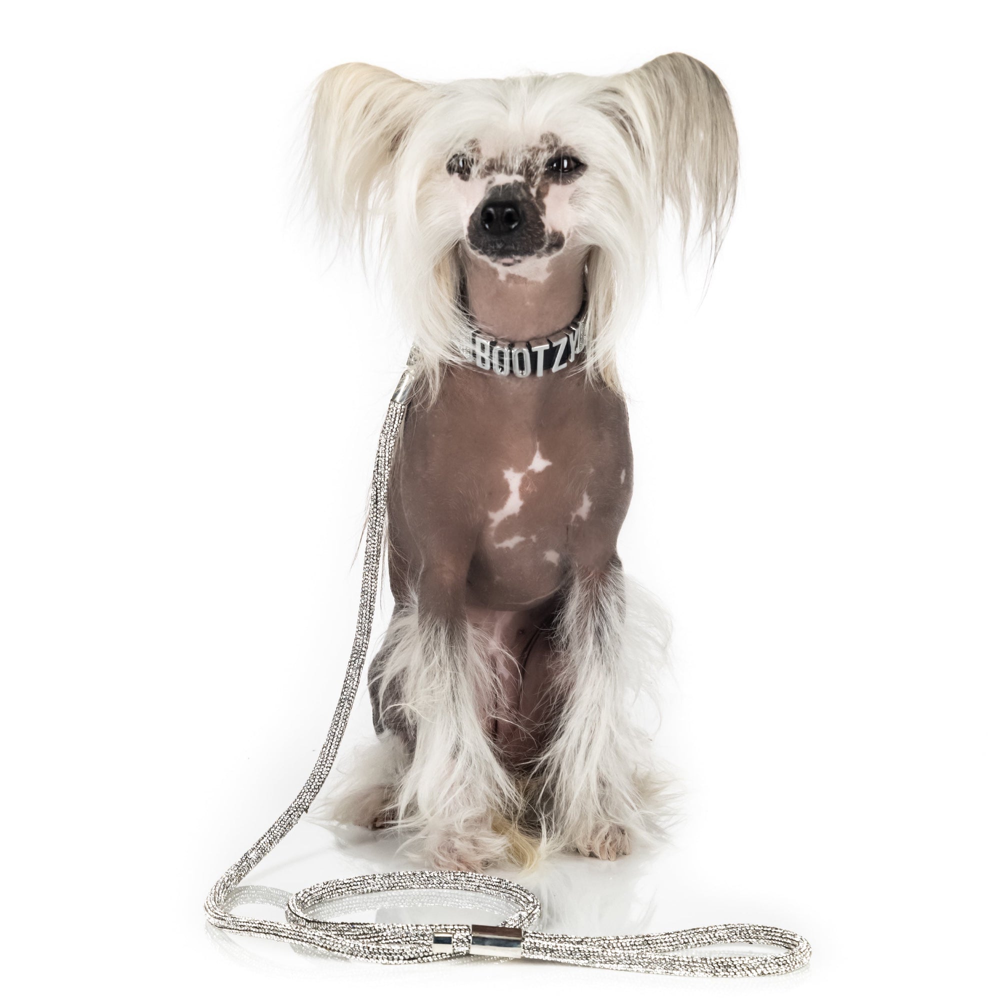 DO THE STRUT LEASH