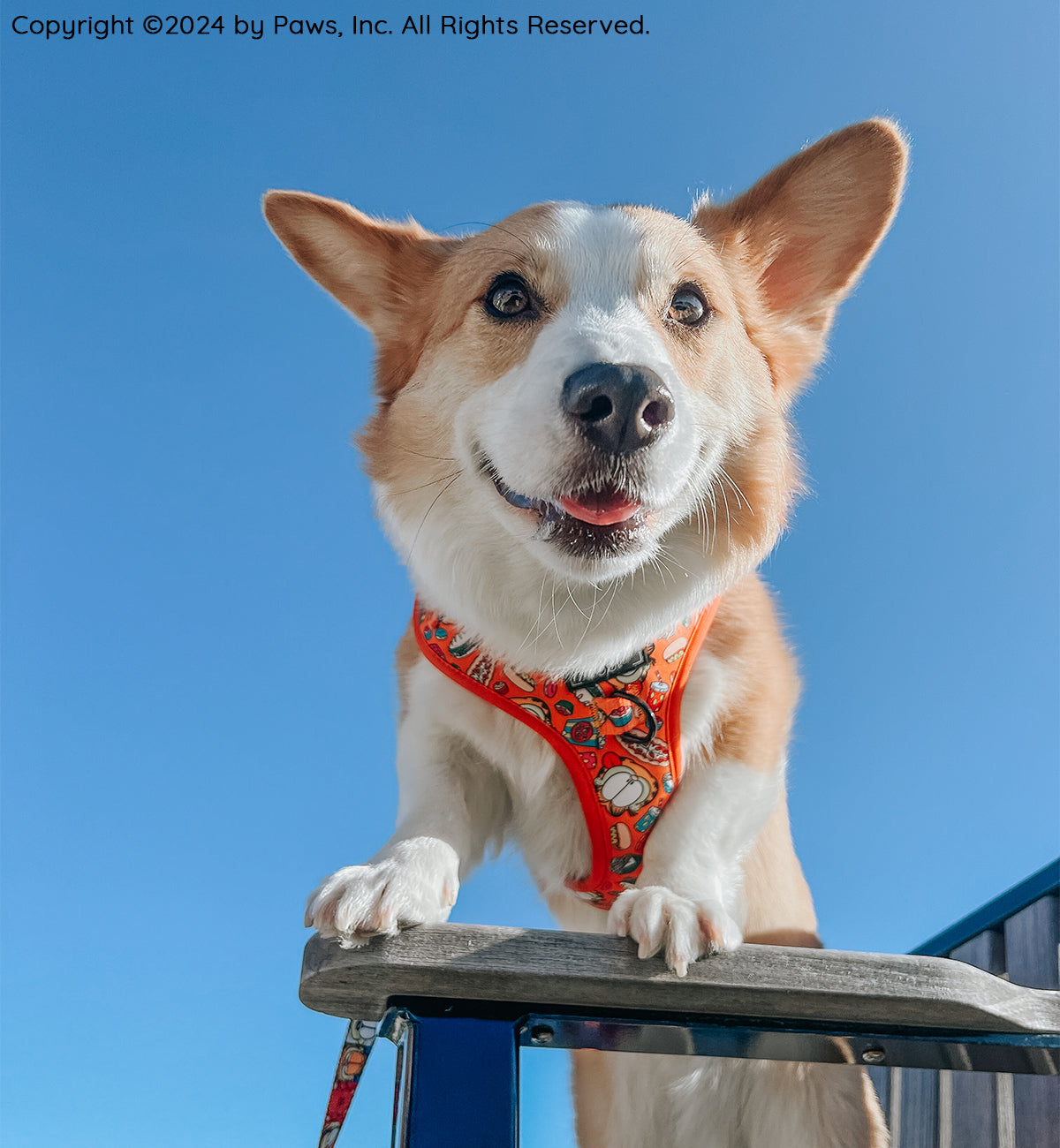 Dog Adjustable Harness - Garfield™