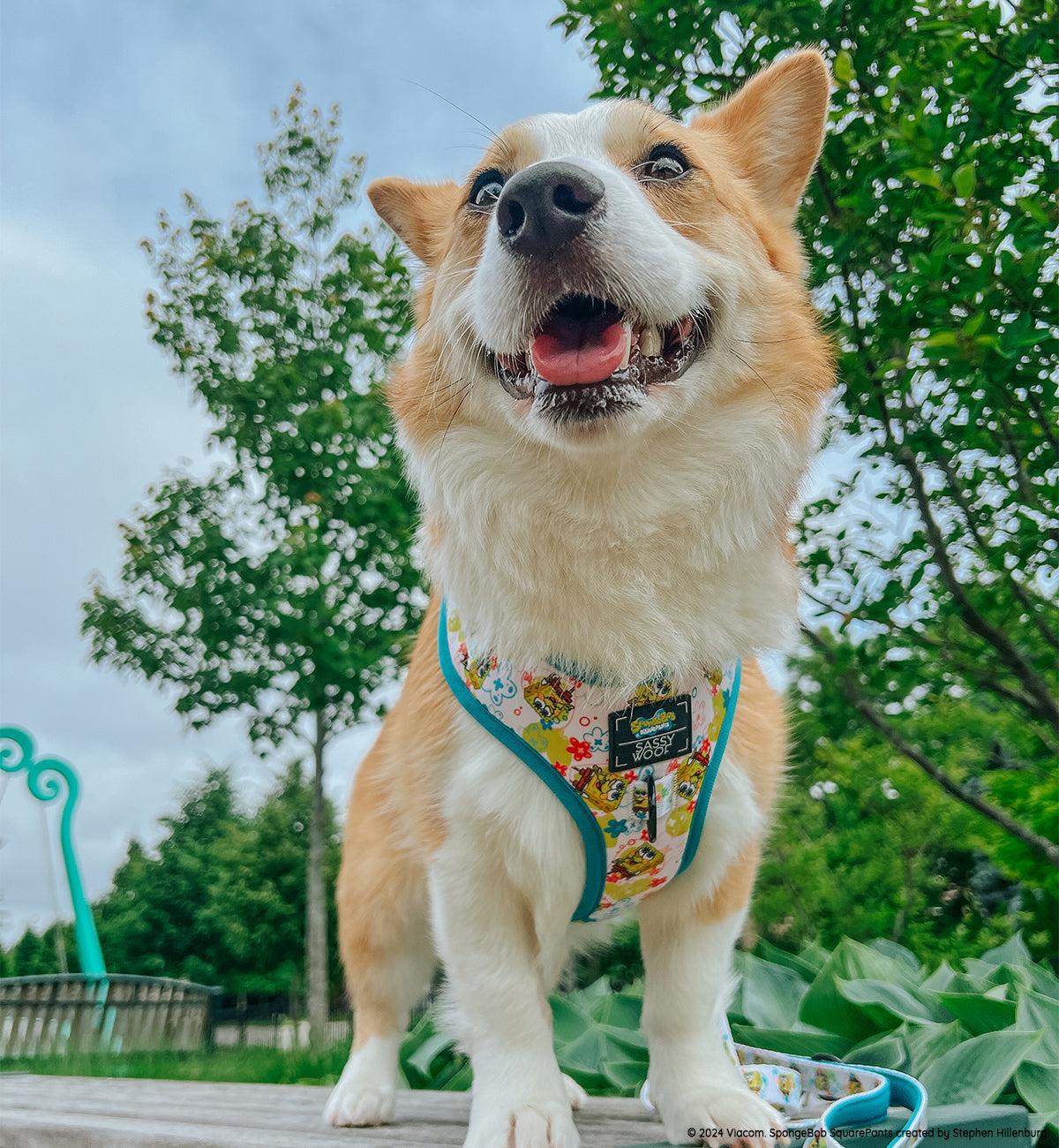 Dog Adjustable Harness - SpongeBob SquarePants™ Bikini Bottom