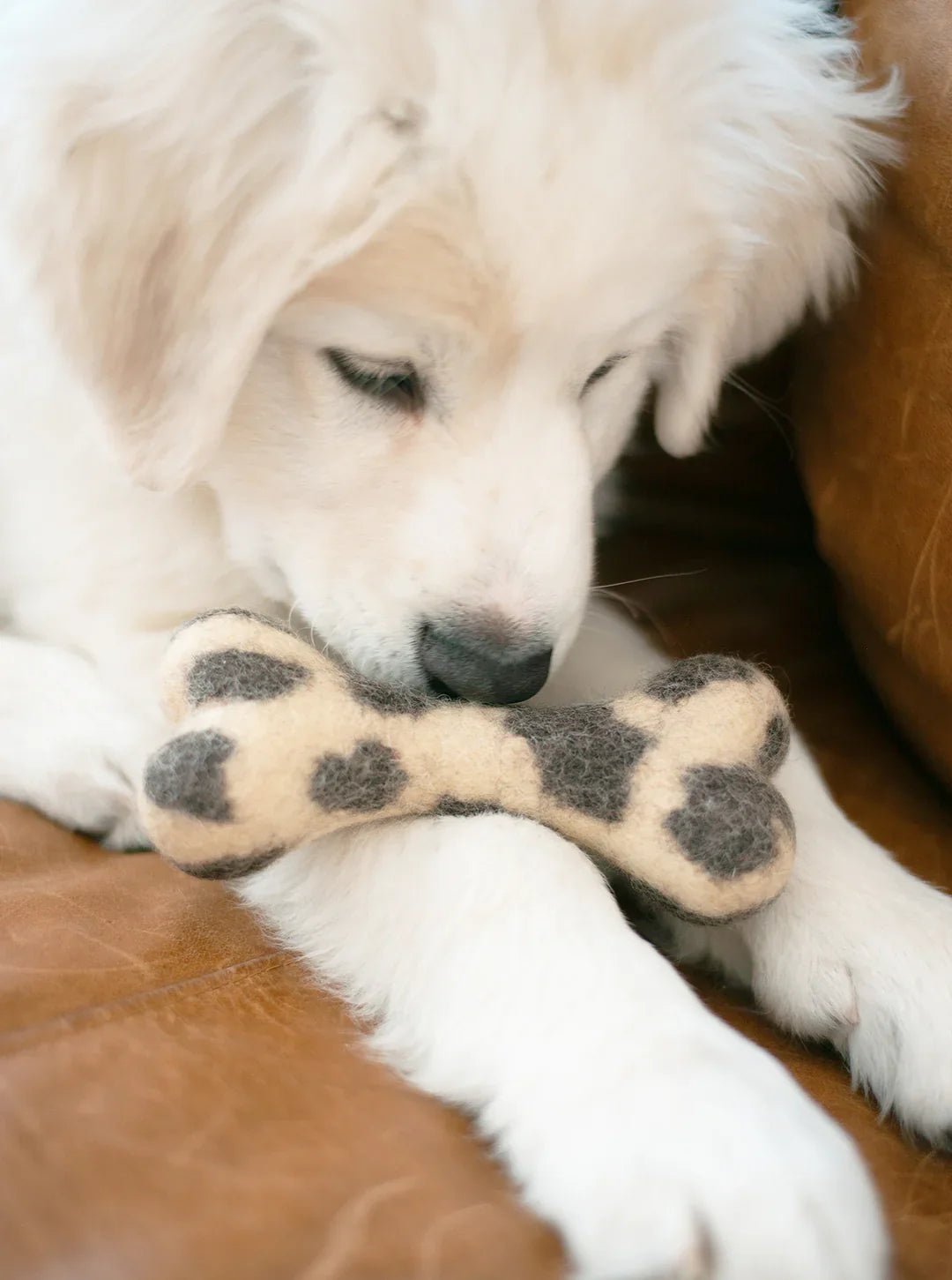 MB X House of Sploot Woolbone Dog Toy