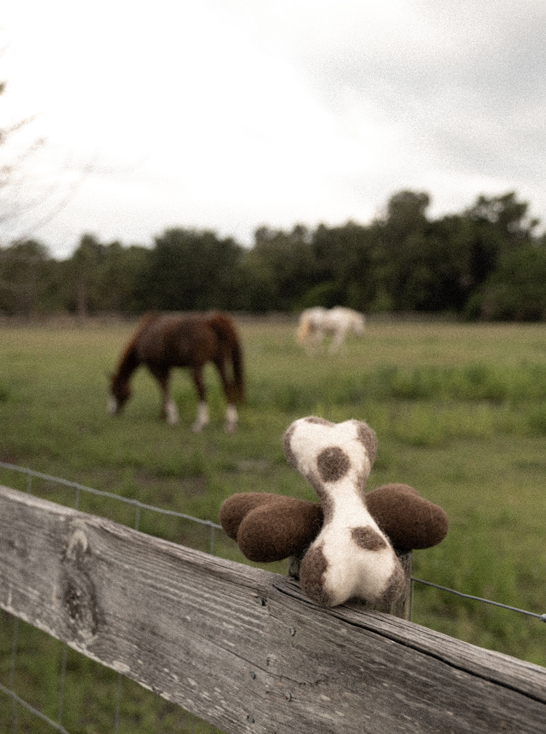 MB X House of Sploot Woolbone Dog Toy