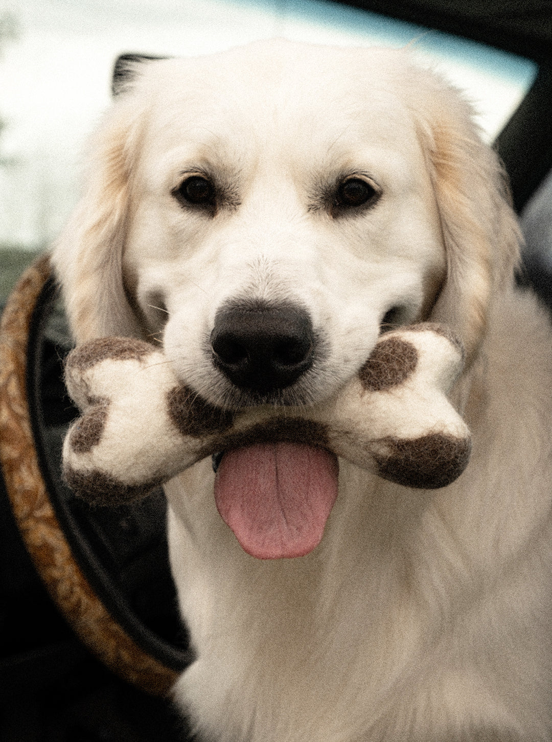 MB X House of Sploot Woolbone Dog Toy