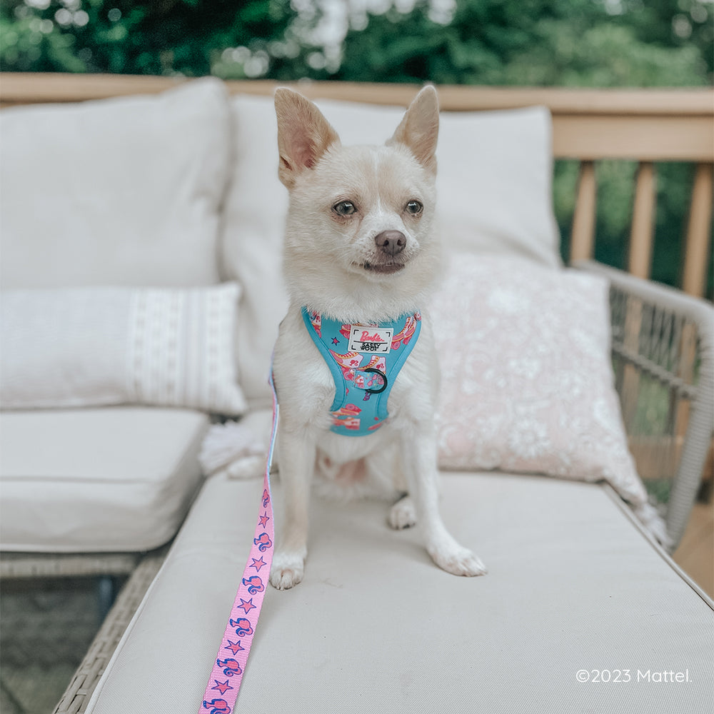 Dog Adjustable Harness - BARBIE™ On a Roll