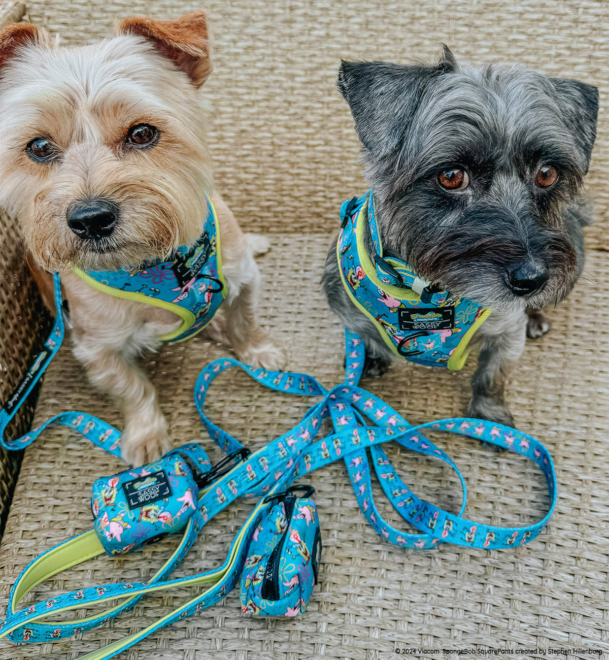 Dog Collar - SpongeBob SquarePants™ Jelly Fishin