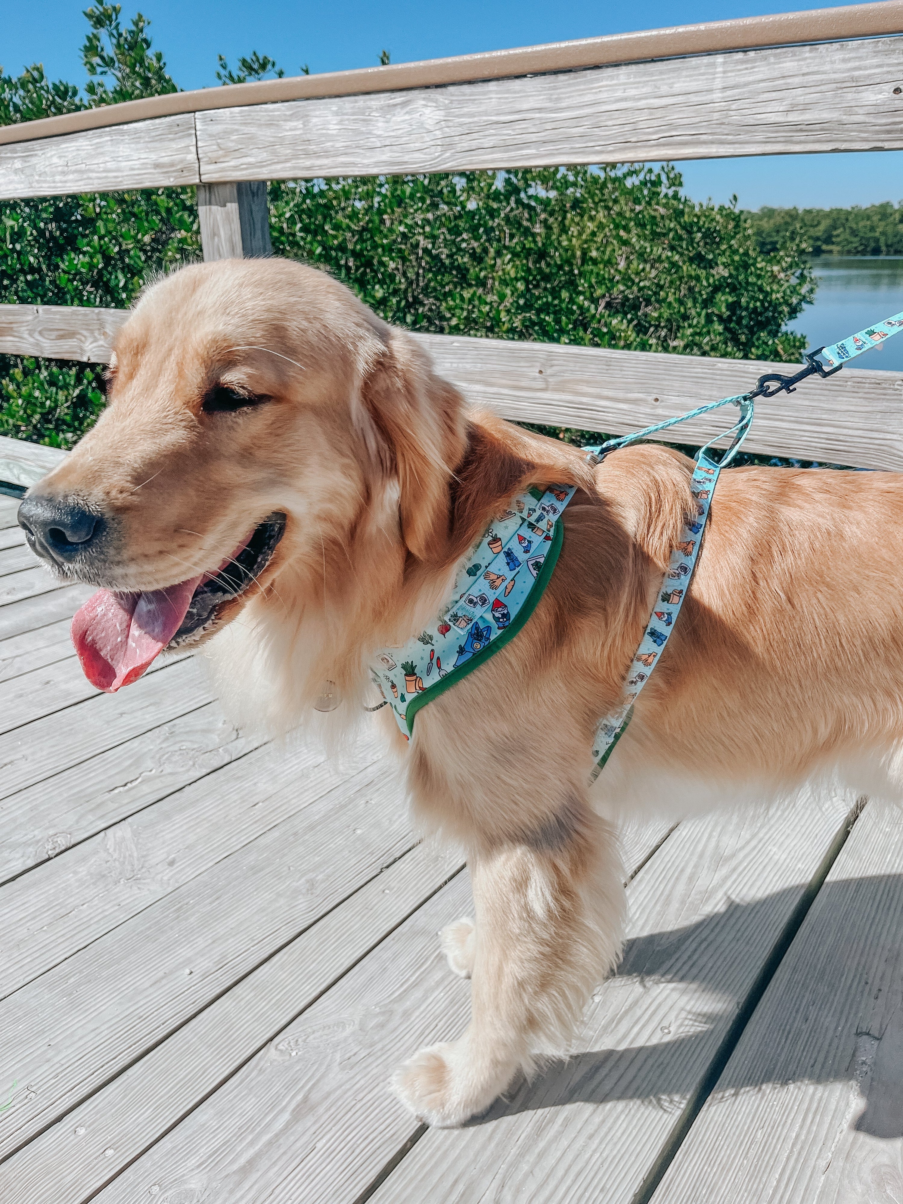 Dog Adjustable Harness - Chillin with my Gnomies