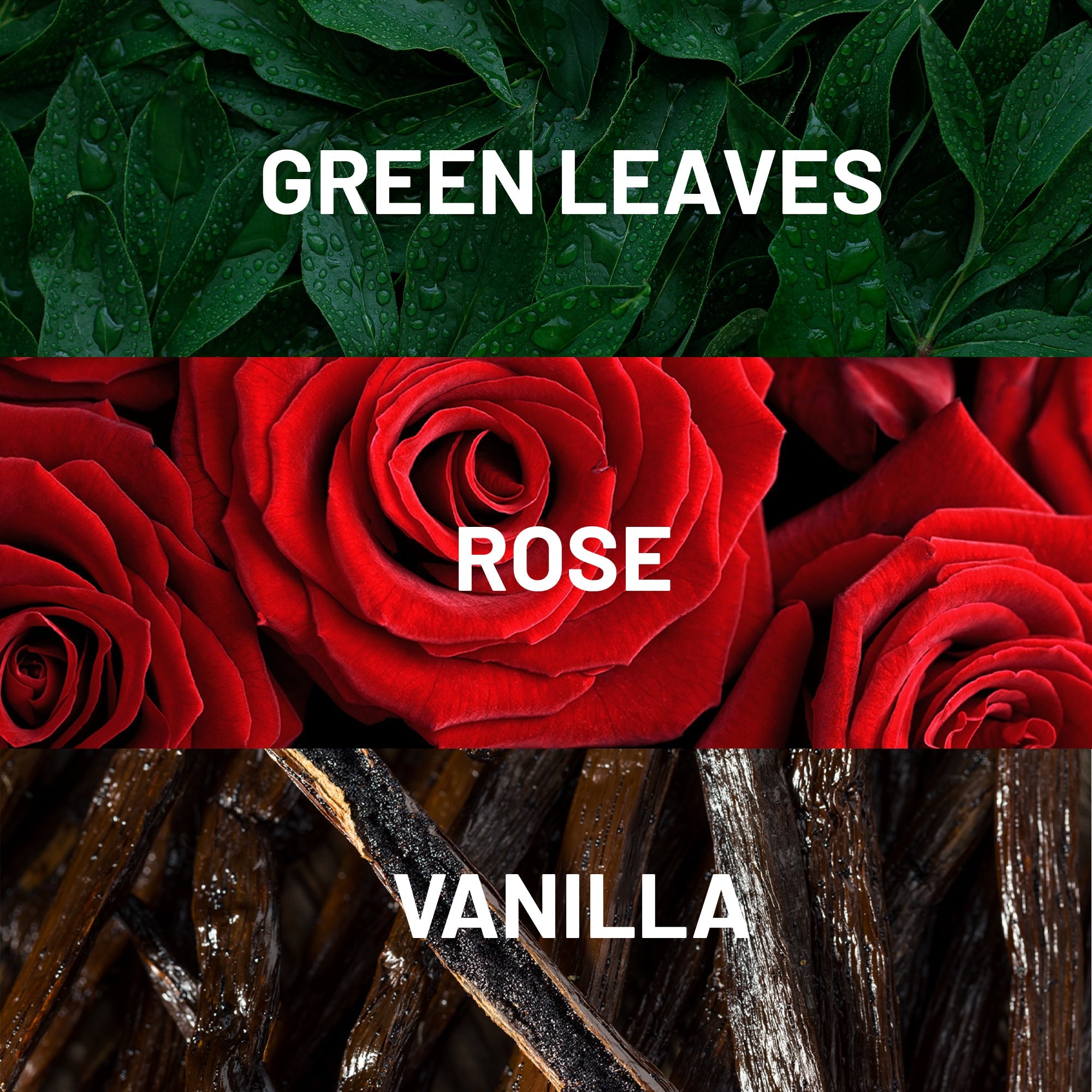 Hotel Collection Crimson Woods Fragrance Oil