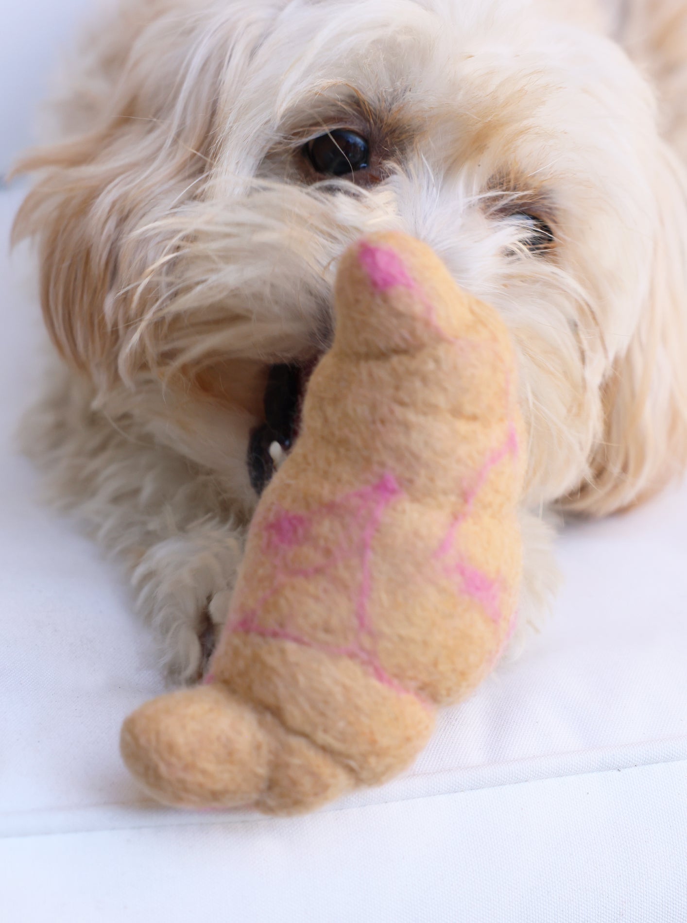 Croissant Wool Dog Toy