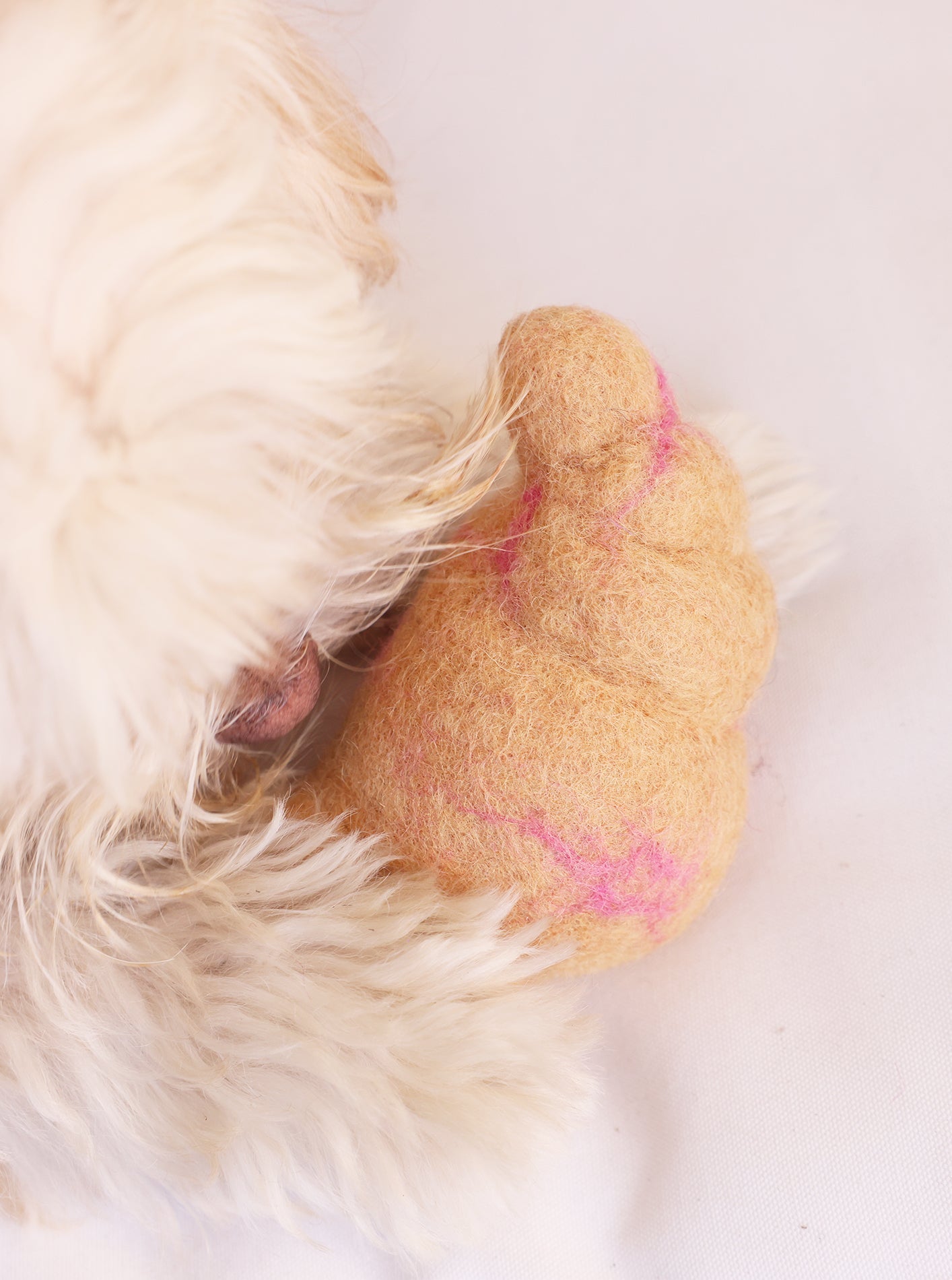 Croissant Wool Dog Toy