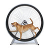 Dog Wheel With Stand Medium-Large Breed