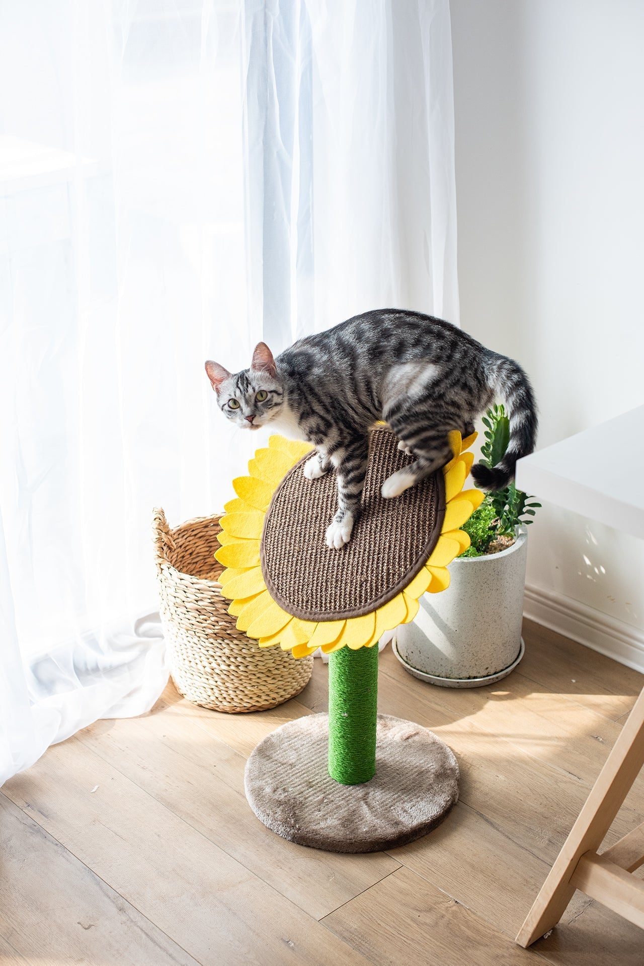Cat Sunflower Tree Bed - Sisal Covered 2 in 1 Climbing Activity Tower