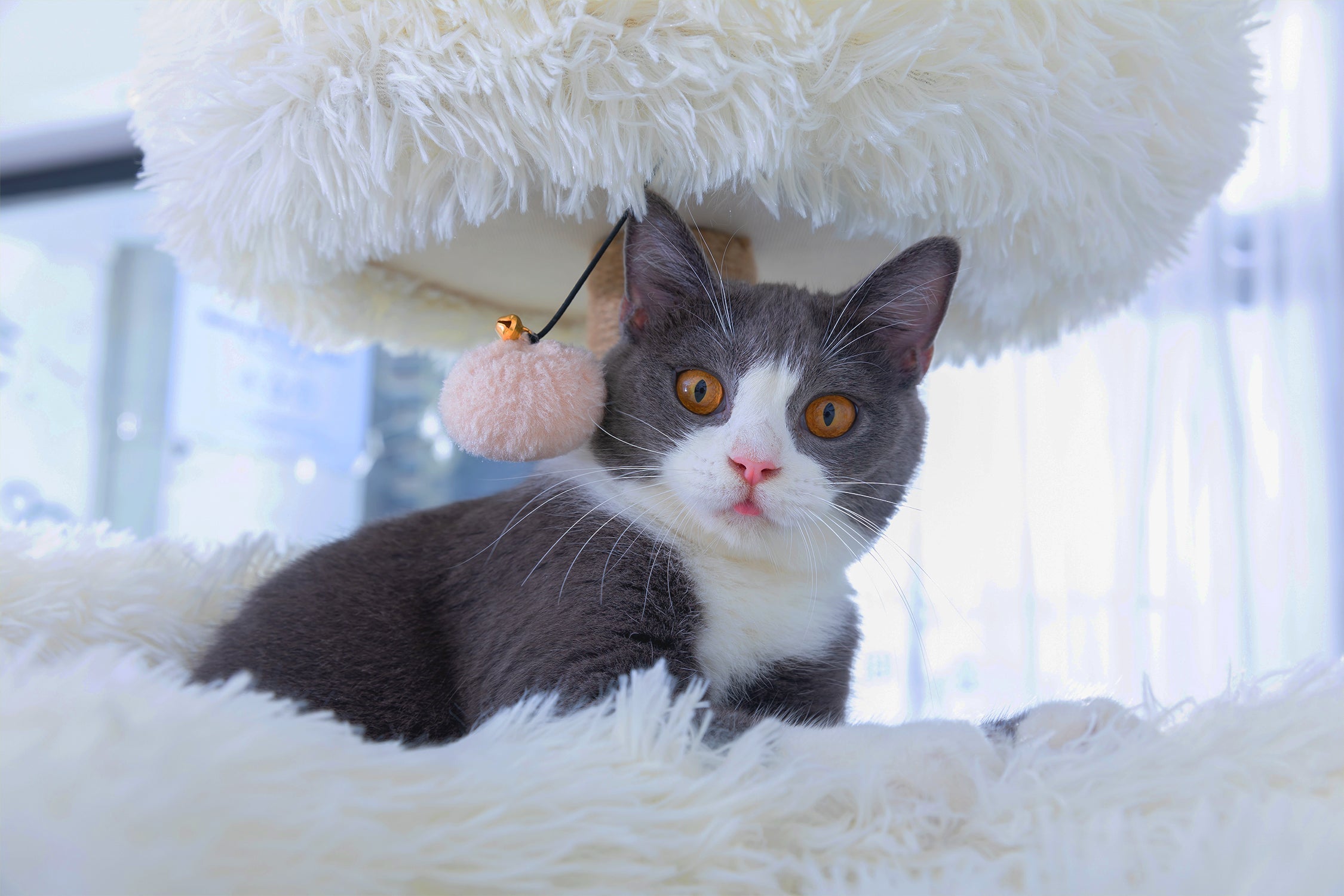 Castle Deluxe Cat Tower