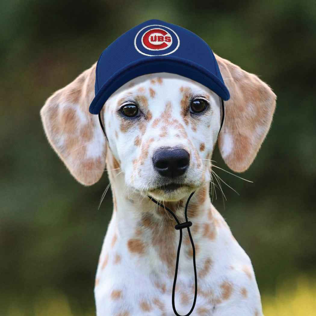 MLB Chicago Cubs Dog Hat