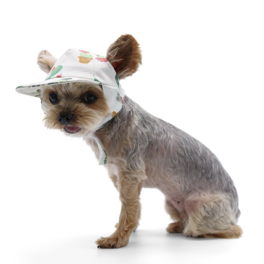 DOGO Cactus Dog Baseball Hat
