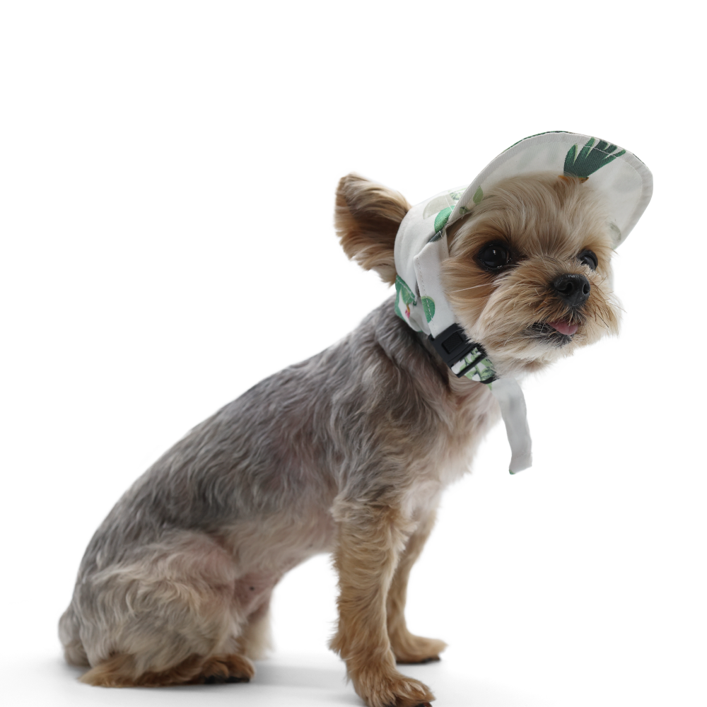 DOGO Cactus Dog Baseball Hat