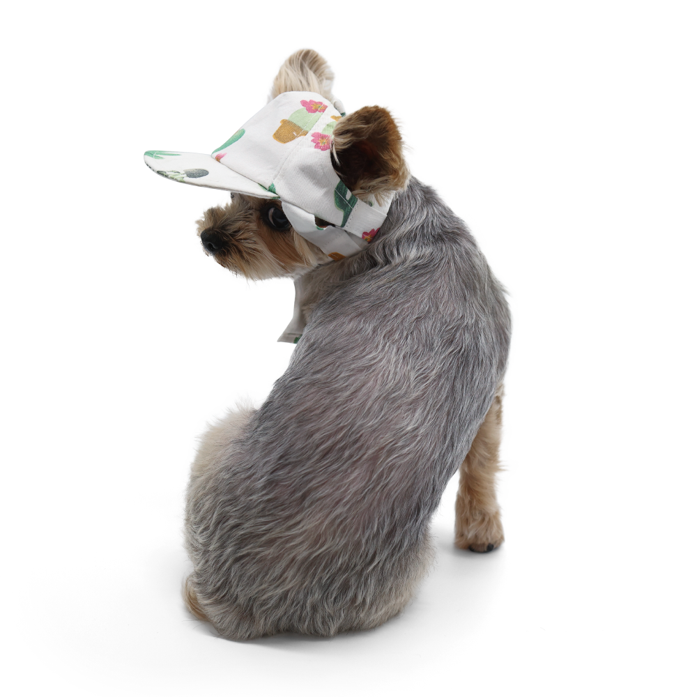 DOGO Cactus Dog Baseball Hat