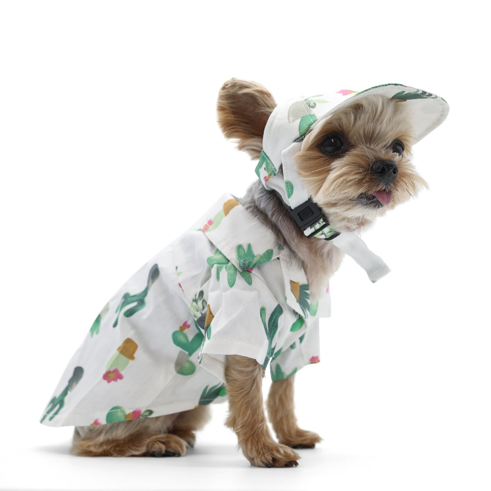 DOGO Cactus Dog Baseball Hat