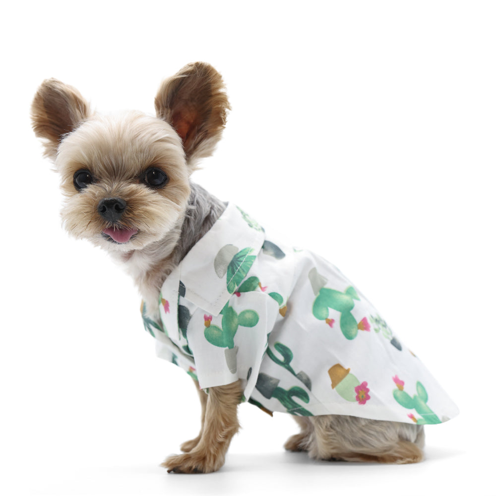 DOGO Cactus Dog Shirt