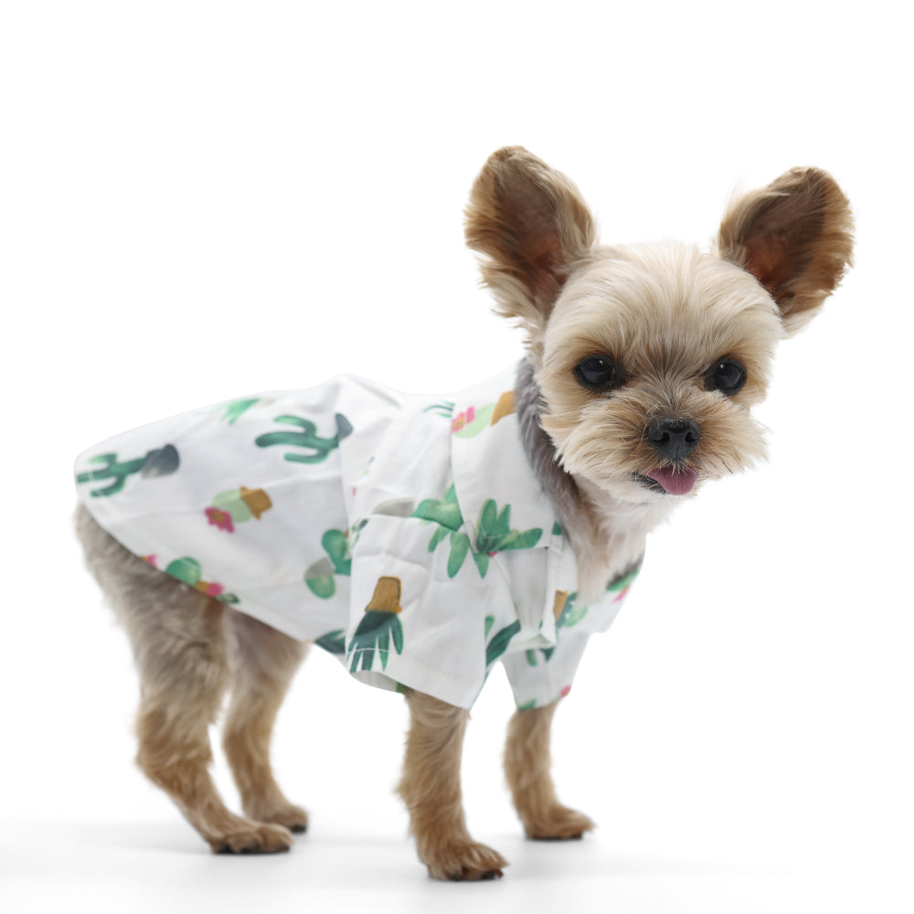 DOGO Cactus Dog Shirt