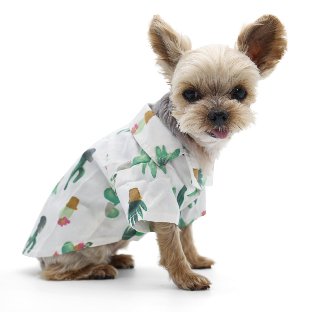 DOGO Cactus Dog Shirt