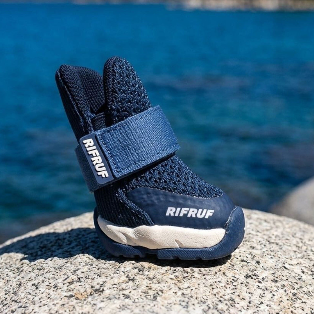 RIFRUF Caesar 2 Dog Sneakers
