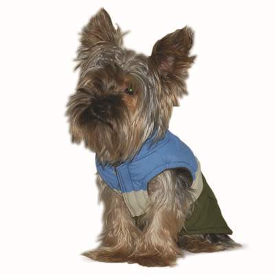 DOGO Camper Dog Vest