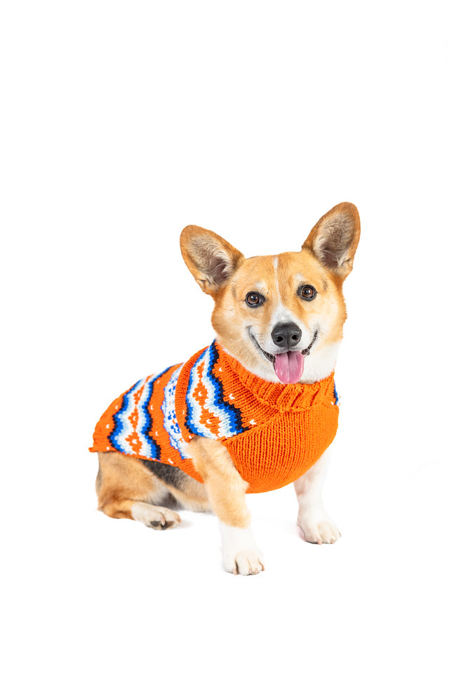 Campfire Dog Sweater