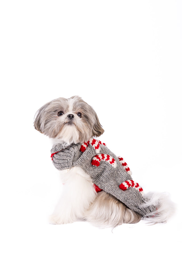Candy Cane Dog Sweater