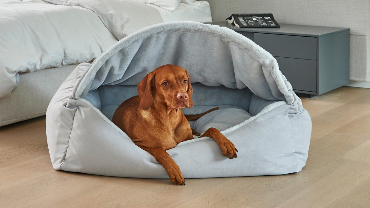 Bowsers Canopy Orthopedic Dog Bed - Supportive Joint-Relief Comfort