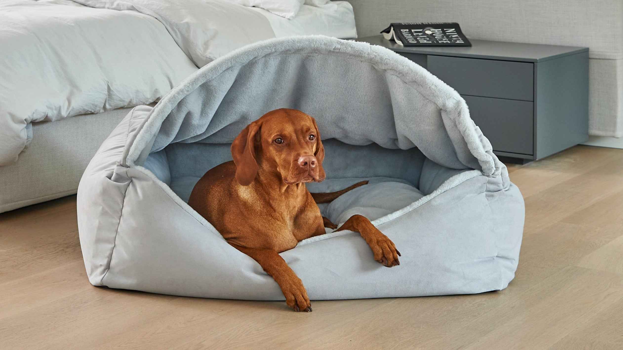 Bowsers Canopy Orthopedic Dog Bed – Supportive Joint-Relief Comfort