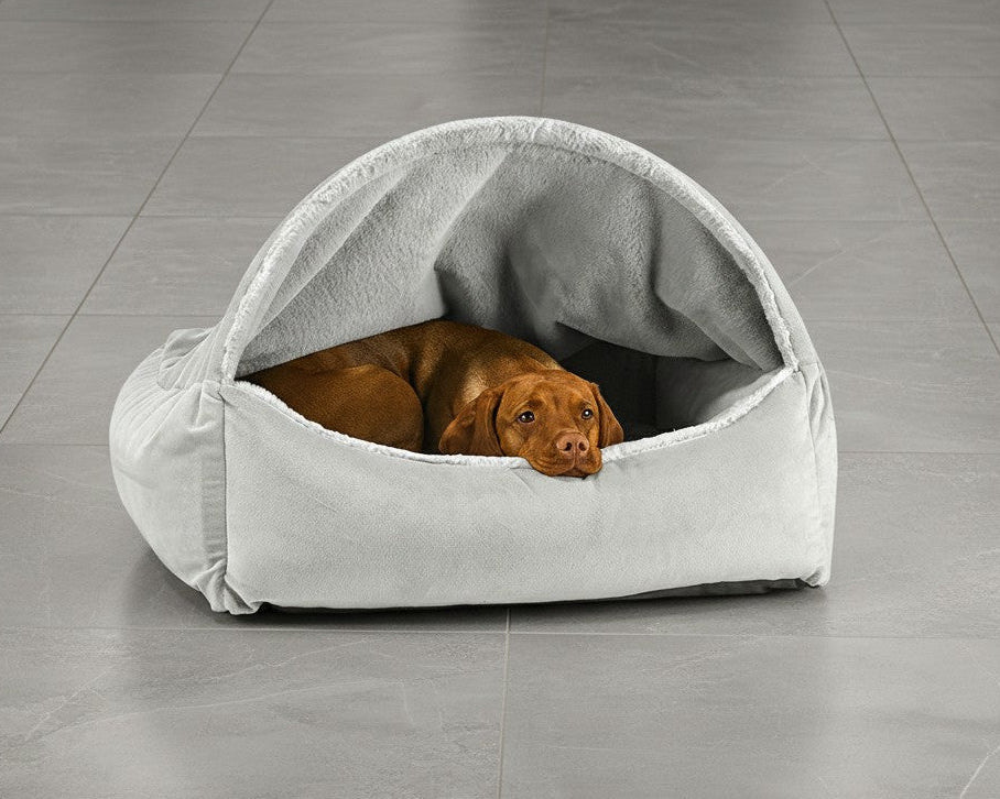 Bowsers Canopy Orthopedic Dog Bed - Supportive Joint-Relief Comfort
