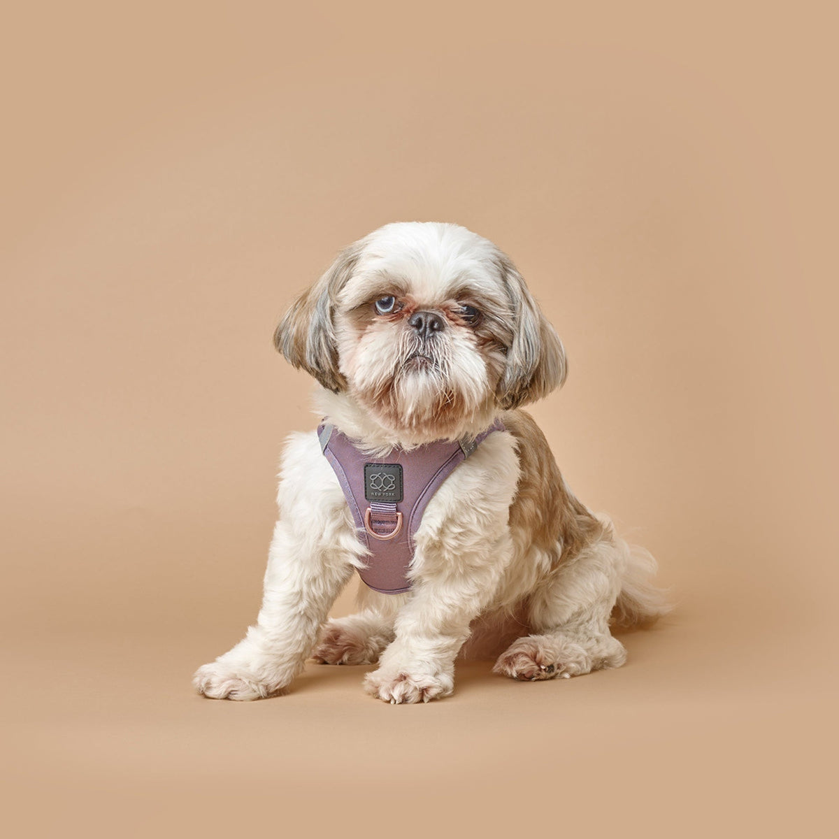 DOGISTRY SoHo Dog Harness - Lilac Gray