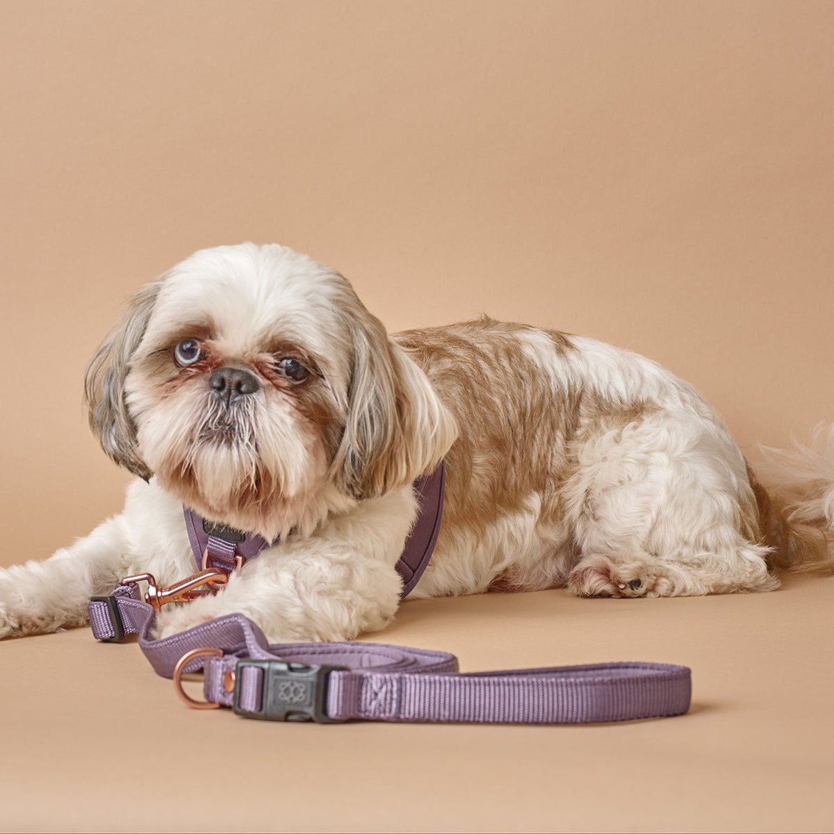 DOGISTRY 3-in-1 City Dog Leash - Lilac Gray