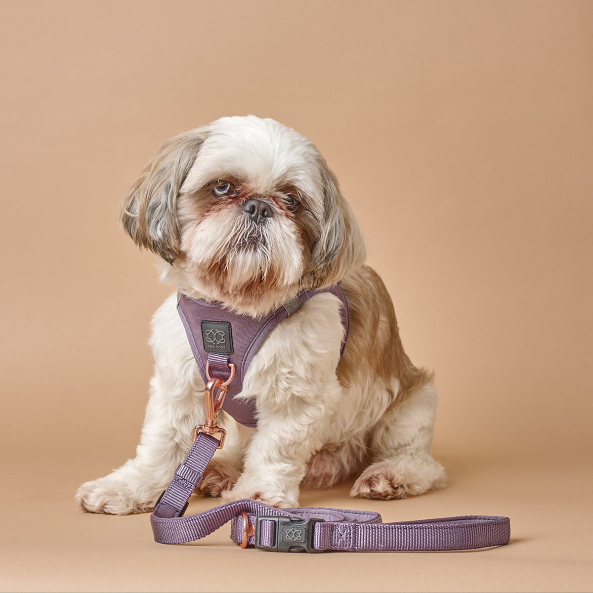 DOGISTRY 3-in-1 City Dog Leash - Lilac Gray