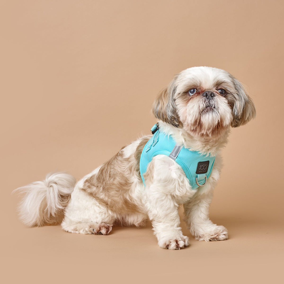 DOGISTRY SoHo Dog Harness - Fifth Avenue