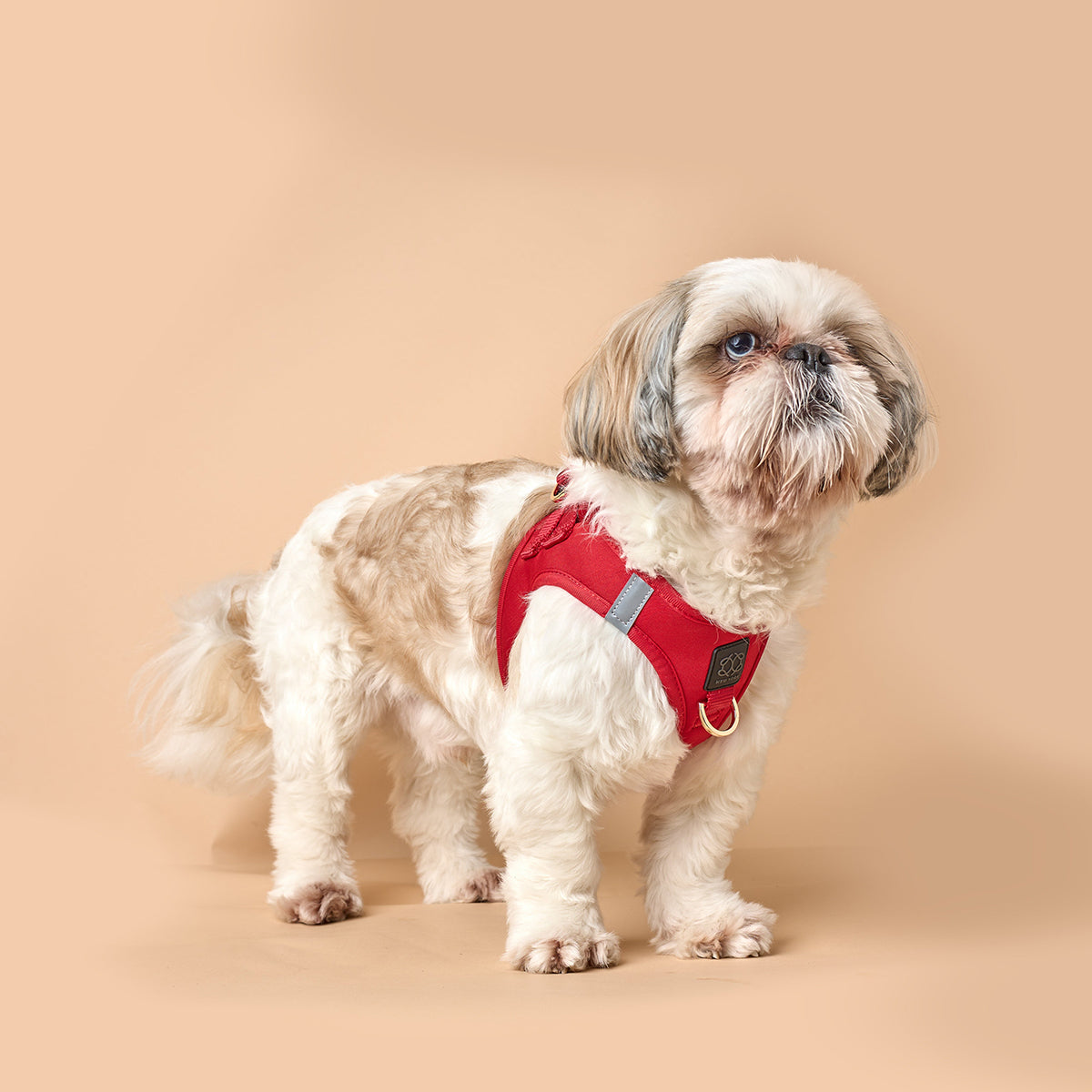 DOGISTRY SoHo Dog Harness - Iconic Red
