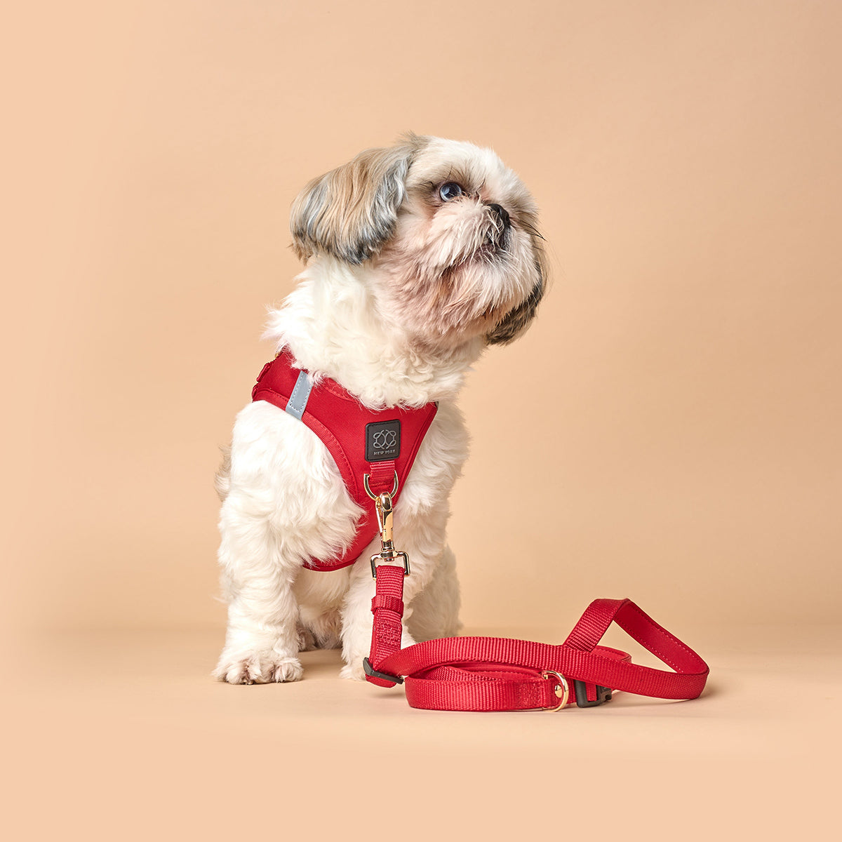 DOGISTRY 3-in-1 City Dog Leash - Iconic Red