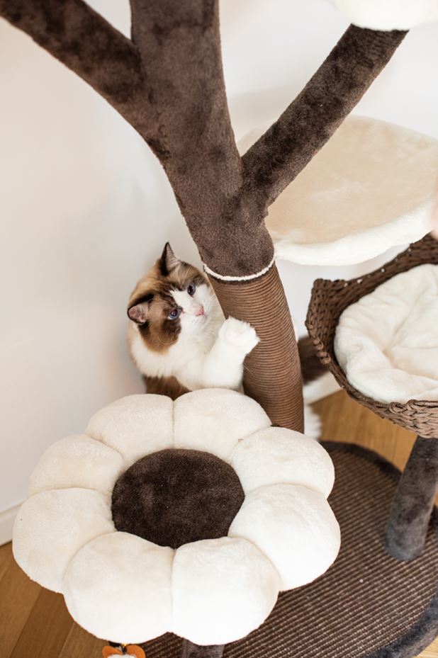 Blossom 7 Level Large Cat Tree 59"