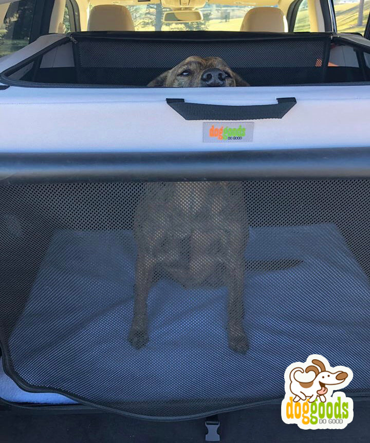 The Foldable Travel Dog Crate By DogGoods