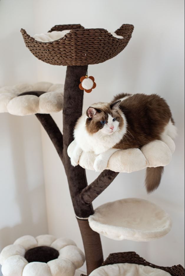 Blossom 7 Level Large Cat Tree 59"