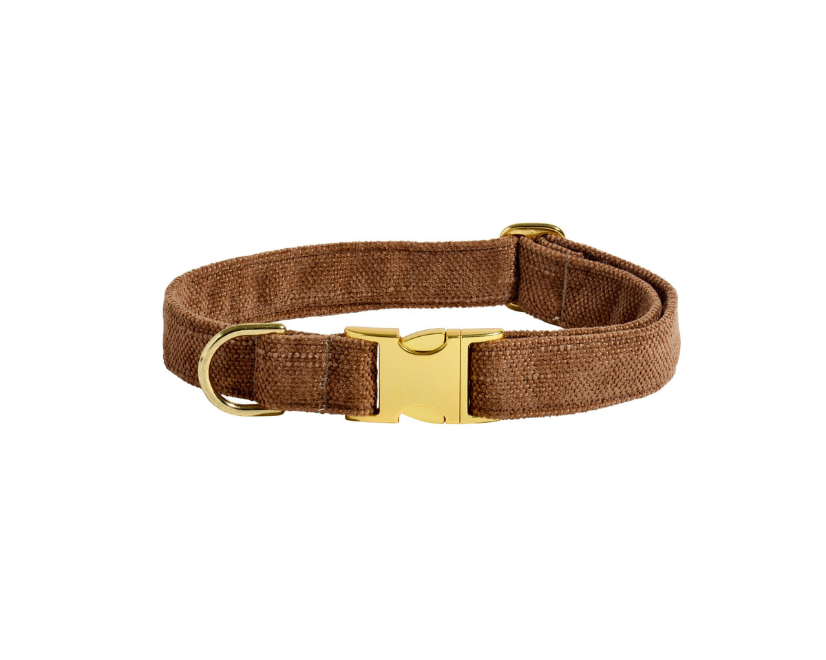 Bowsers Designer Buckle Dog Collar - Secure Everyday Fit and Designer Style