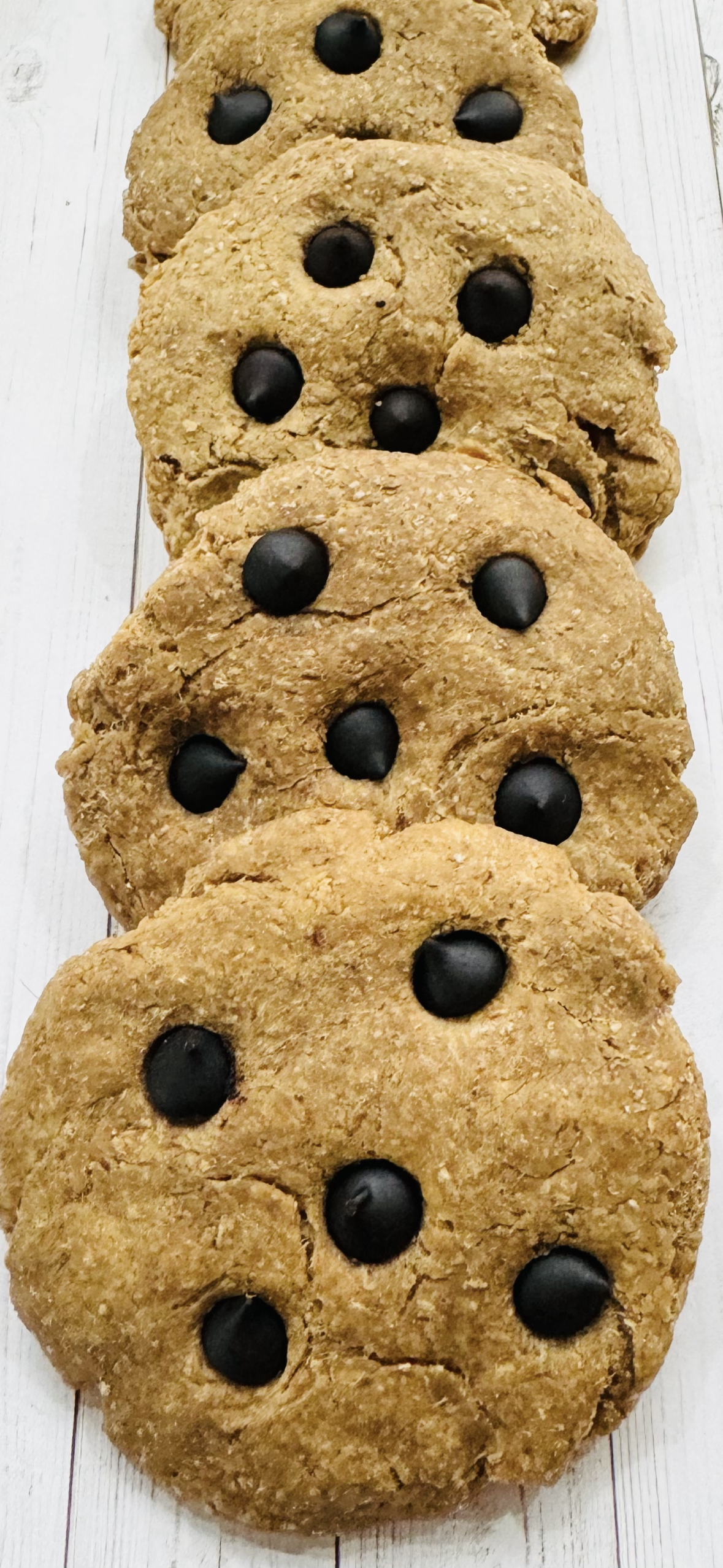 Tootsies & Treats Peanut Butter Carob Chip Cookies 6oz - HT Animal Supply