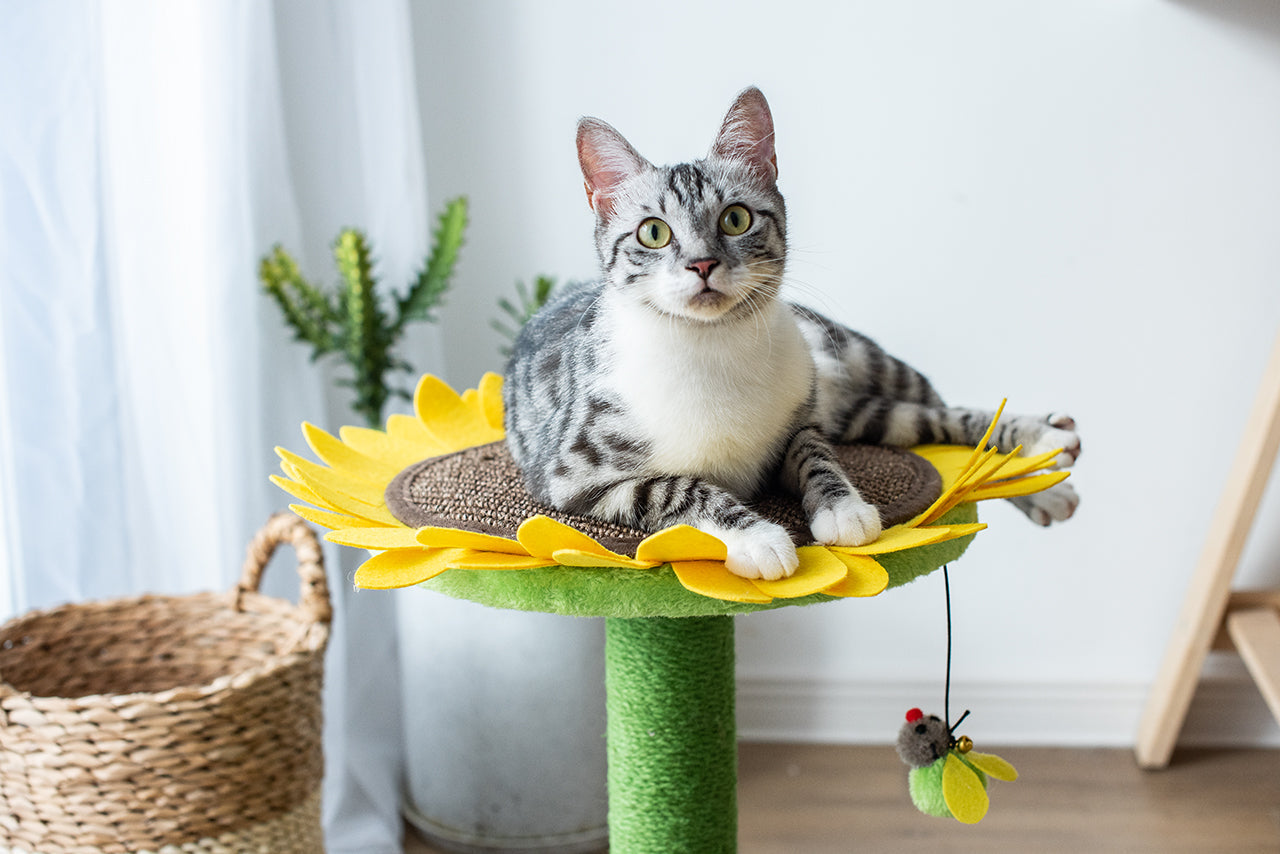 Cat Sunflower Tree Bed - Sisal Covered 2 in 1 Climbing Activity Tower