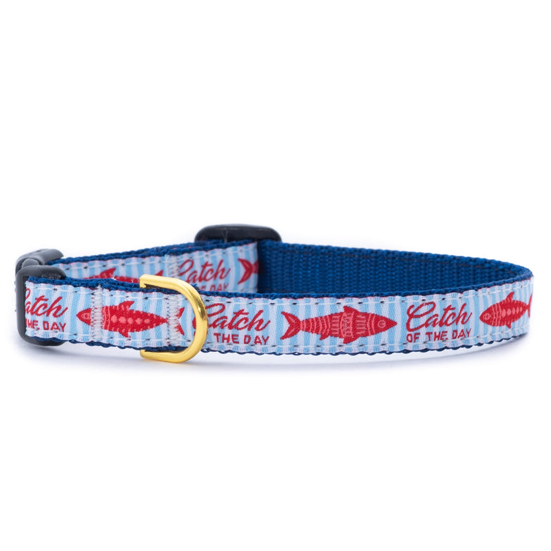 Up Country Catch of the Day Small Breed Dog Collar