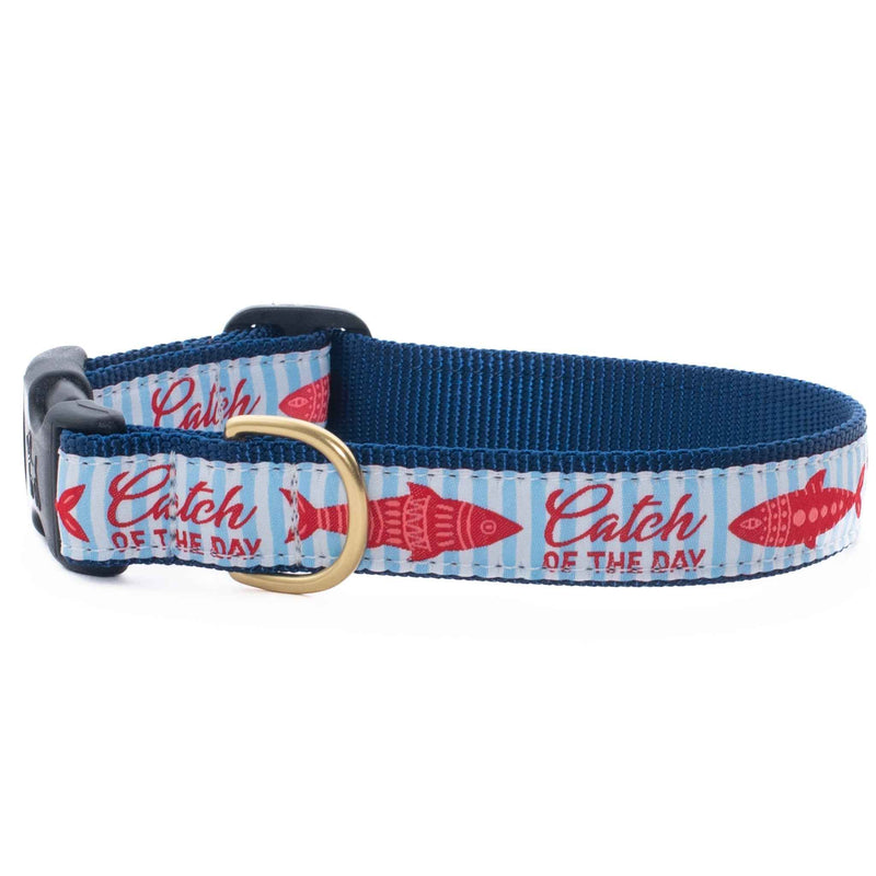 Up Country Catch of the Day Dog Collar