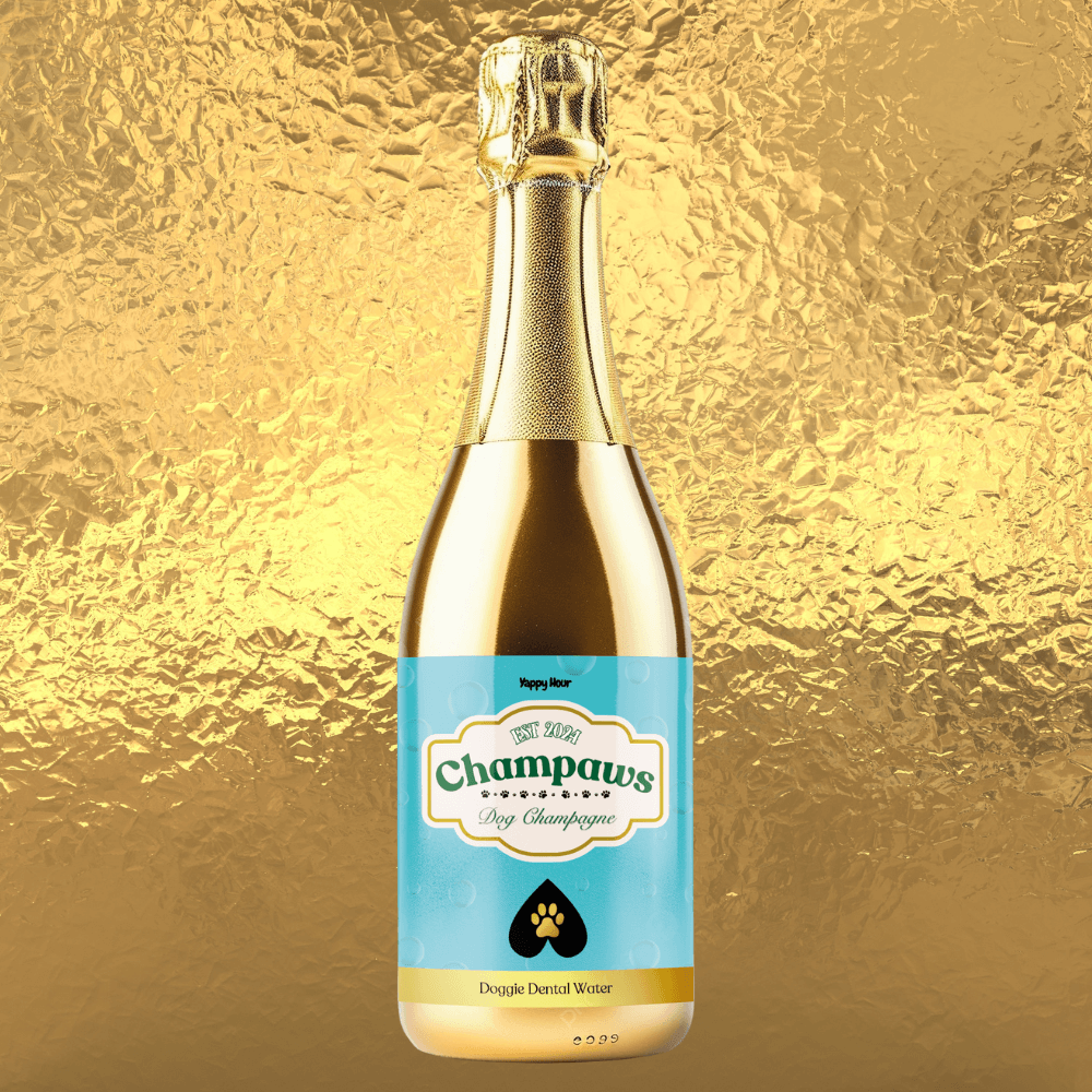 Champaws Dog Champagne