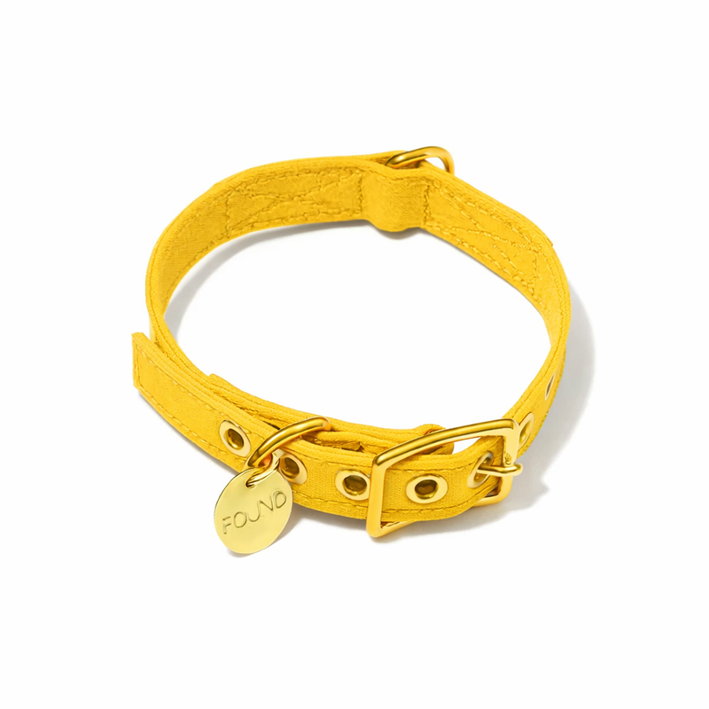Yellow Cotton Canvas Cat & Dog Collar