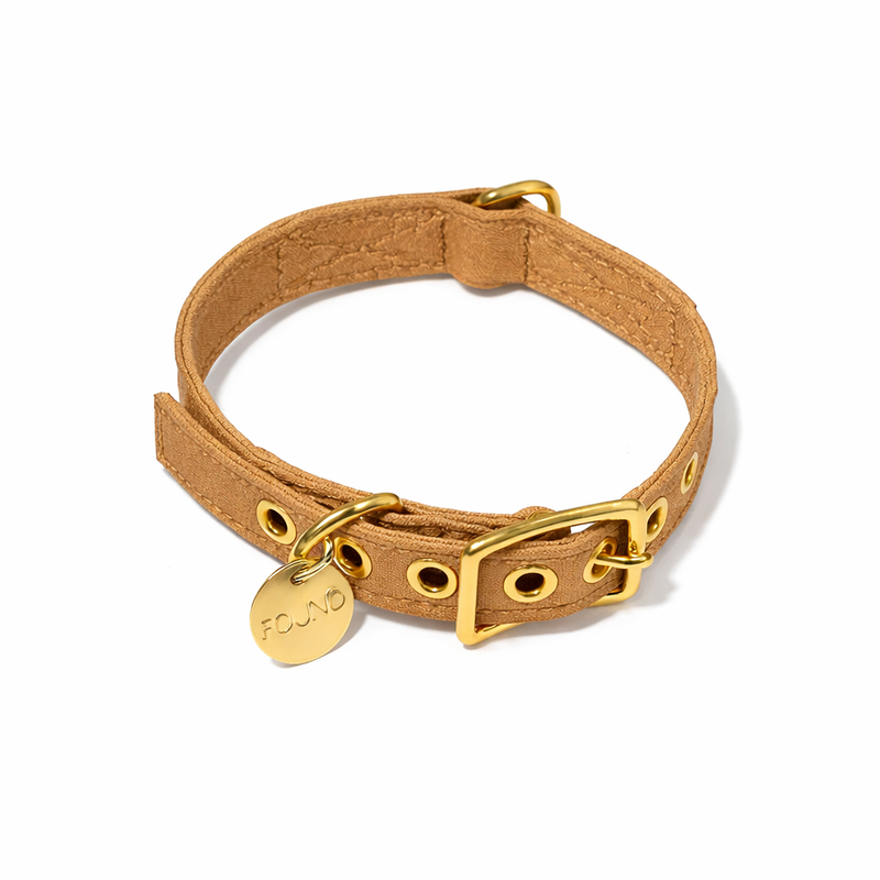 Khaki Cotton Canvas Cat & Dog Collar