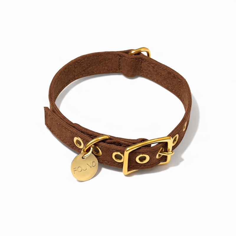 Cinnamon Cotton Canvas Cat & Dog Collar