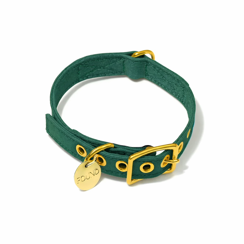 Pine Cotton Canvas Cat & Dog Collar