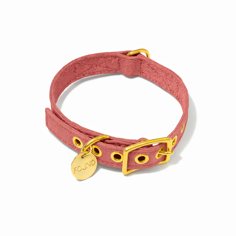 Nantucket Cotton Canvas Cat & Dog Collar